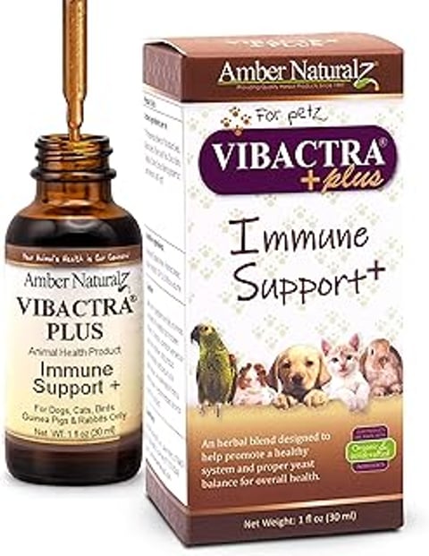 A bottle of Vibactra Plus Herbal Supplement.