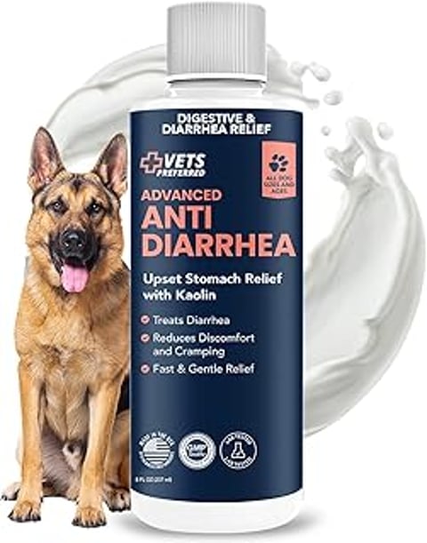 A dog is sitting in front of a bottle of Anti Diarrhea & Gas Relief.