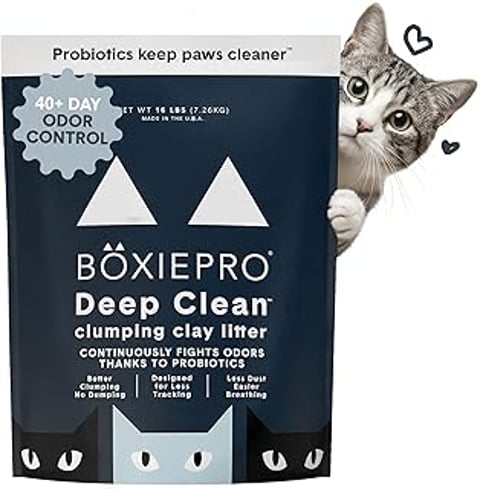 A cat is sitting next to a box of Boxie Probiotic Cat Litter.