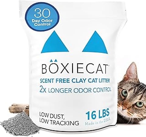 A cat is laying next to a bag of Boxie Unscented 30 Day Odor Control Clumping Clay Cat & Kitty Litter.
