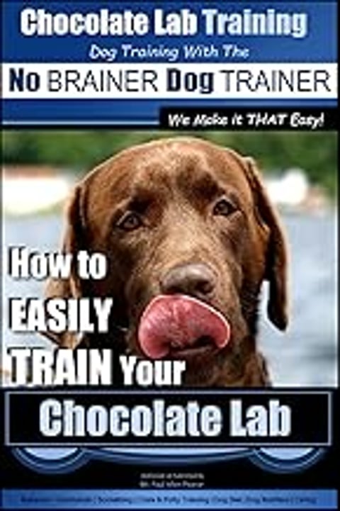 Chocolate Lab Training with the No.