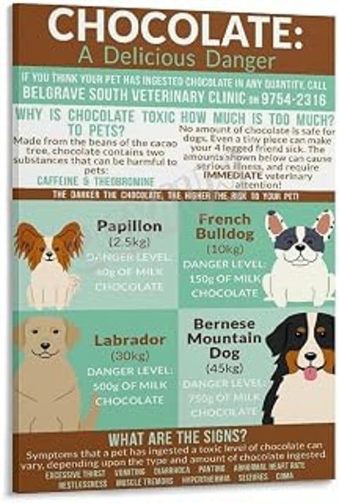 A poster that shows the dangers of chocolate toxicity in pets.