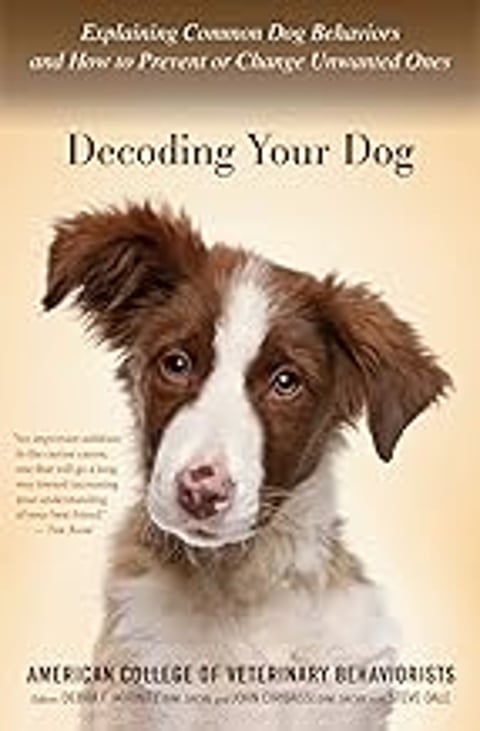 A dog with a pink nose is looking at the camera.