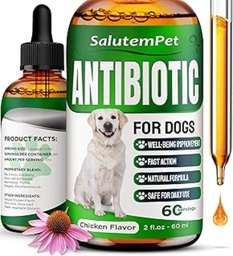 A bottle of antibiotics for dogs.
