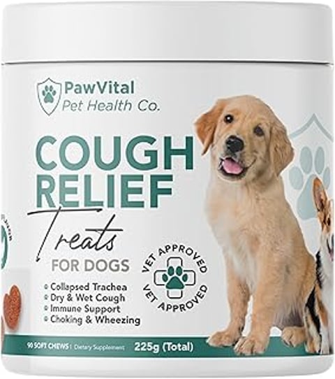 A dog with a cough relief treat.