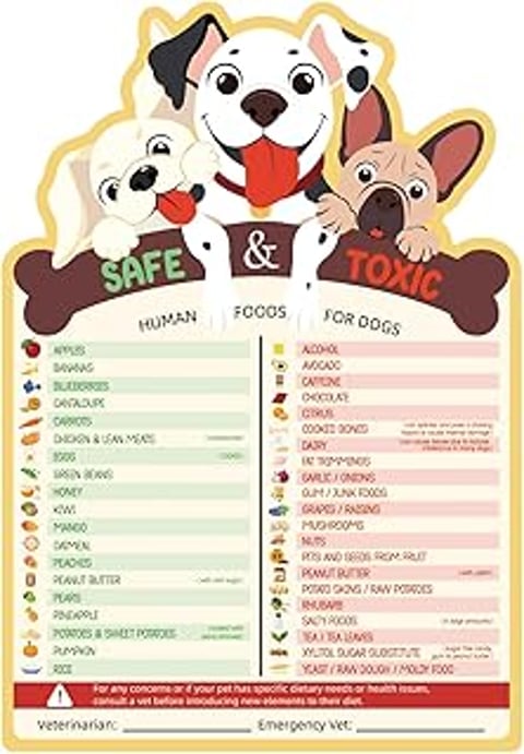 A fridge magnet with a list of human foods that are safe for dogs to eat.
