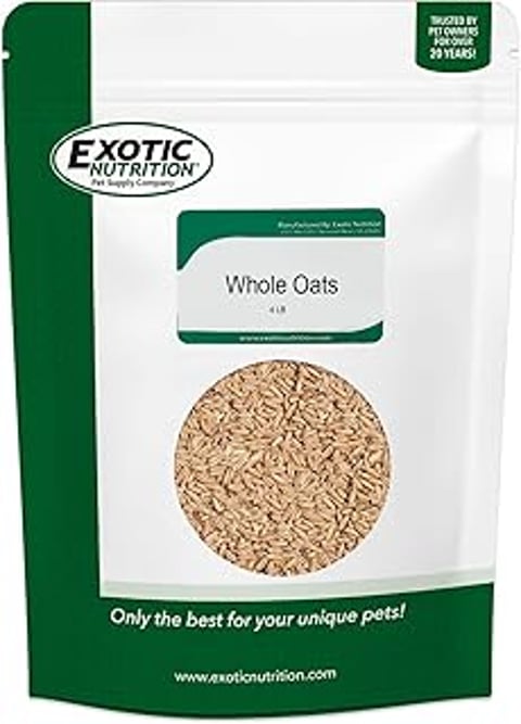 A bag of whole oats from exotic nutrition.