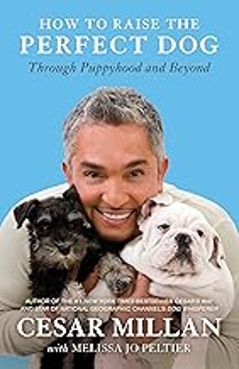 A man holding two dogs.