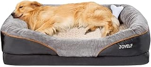 A dog is laying on a dog bed.