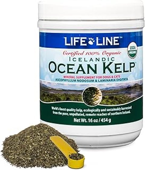 A bottle of Life Line Ocean Kelp.