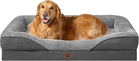 A large dog is laying on a memory foam dog bed.
