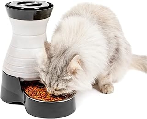 A cat eating food from a PetSafe Healthy Pet Food Station Small.