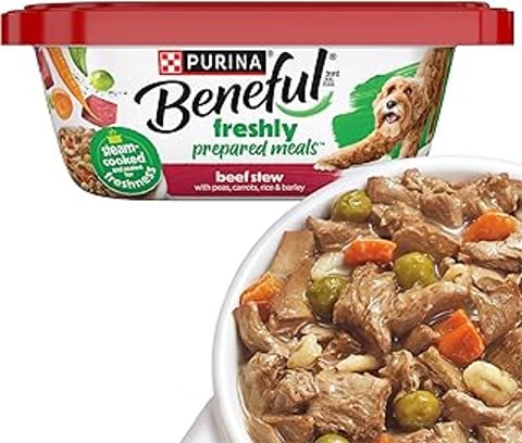 A bowl of Purina Beneful wet dog food.