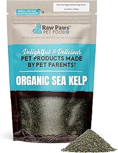 A bag of Raw Paws Organic Kelp Powder for pets.