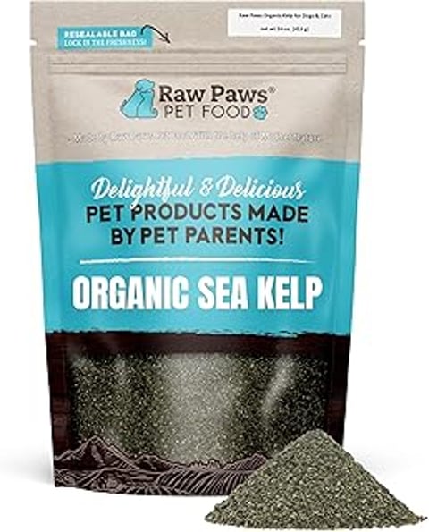 A bag of Raw Paws Organic Kelp Powder for pets.
