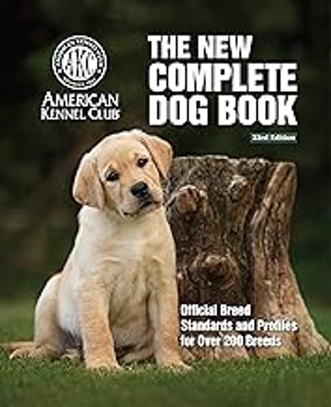 A dog is sitting in front of a tree.