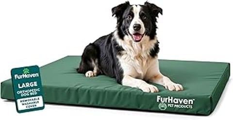 A black and white dog sitting on a green water-resistant orthopedic dog bed.