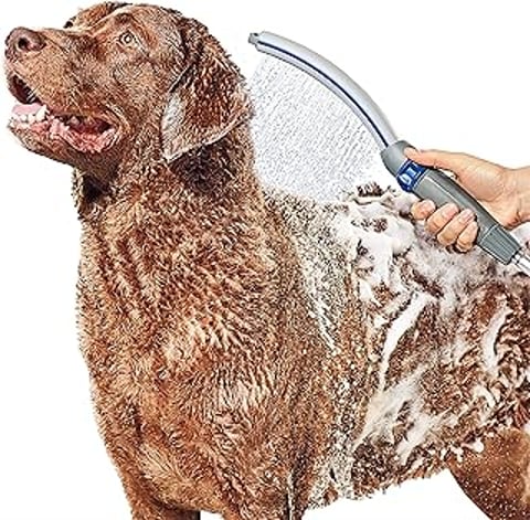 A dog is being sprayed with water from a waterpik pet wand.