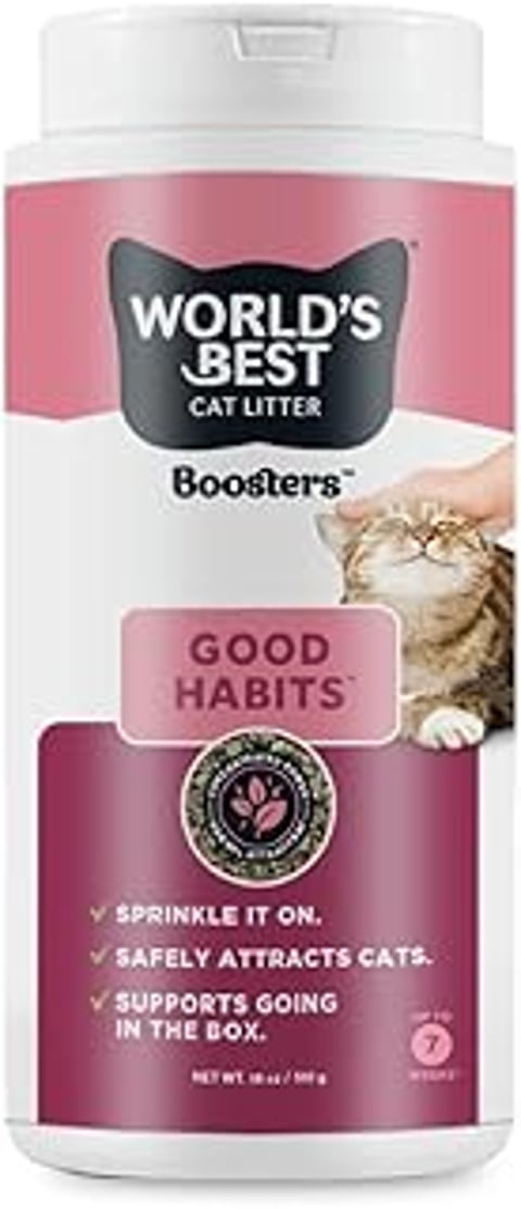 A cat is being petted by a person while sitting on a pink background.