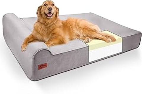 A large brown dog lays on a dog bed.