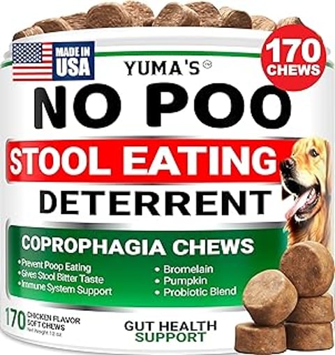 A dog chewing on a Yuma's No Poo Chews.